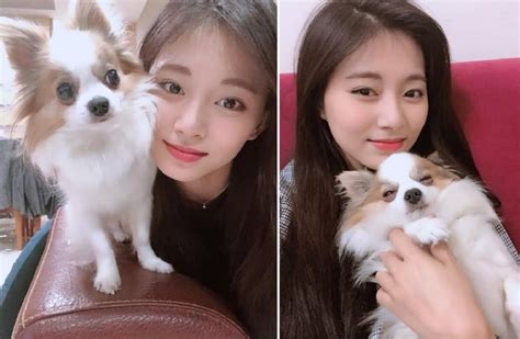 tzuyu gucci|TWICE's Tzuyu says goodbye to her beloved pet Gucci.